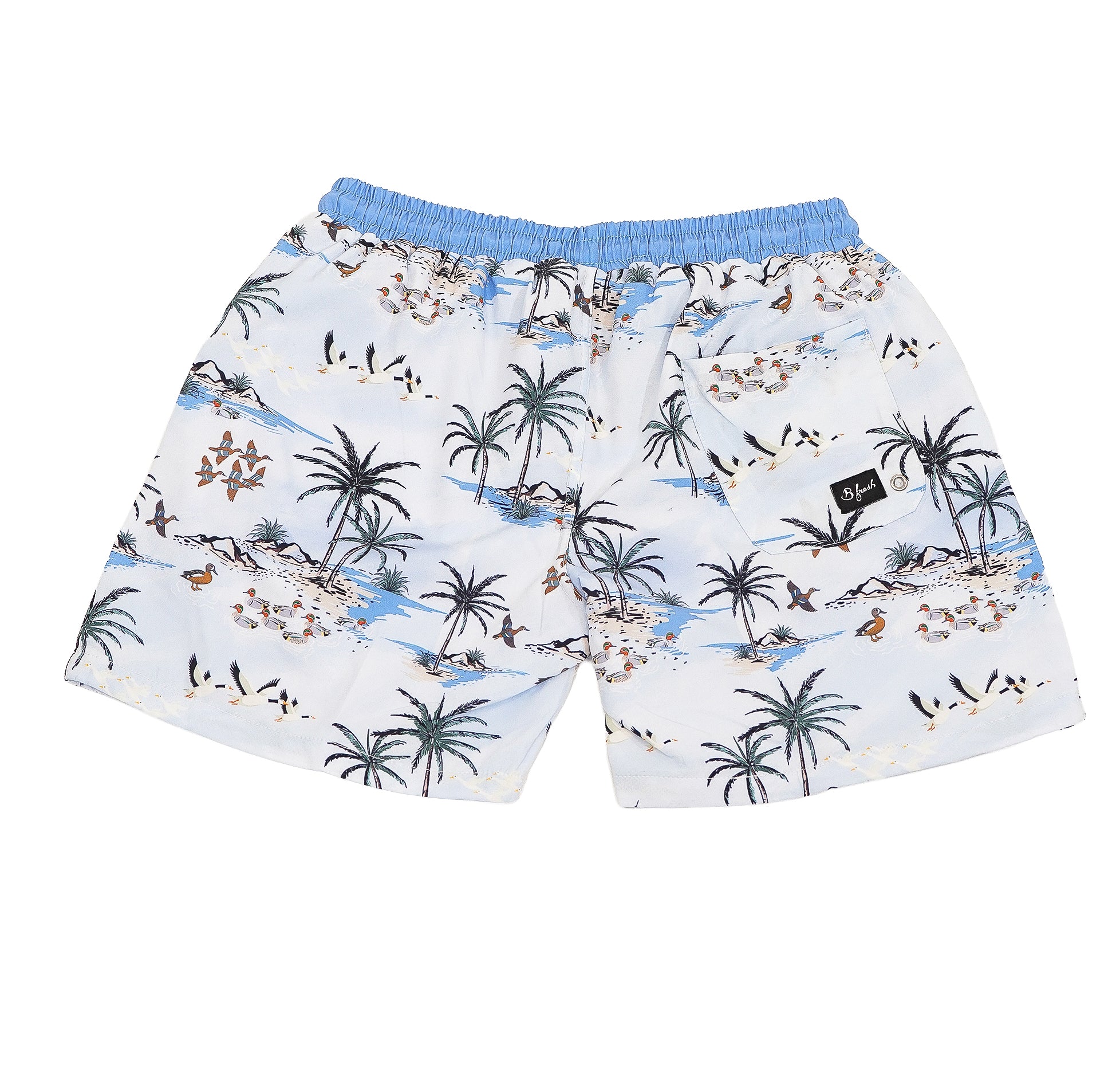 Beach and birds shorts