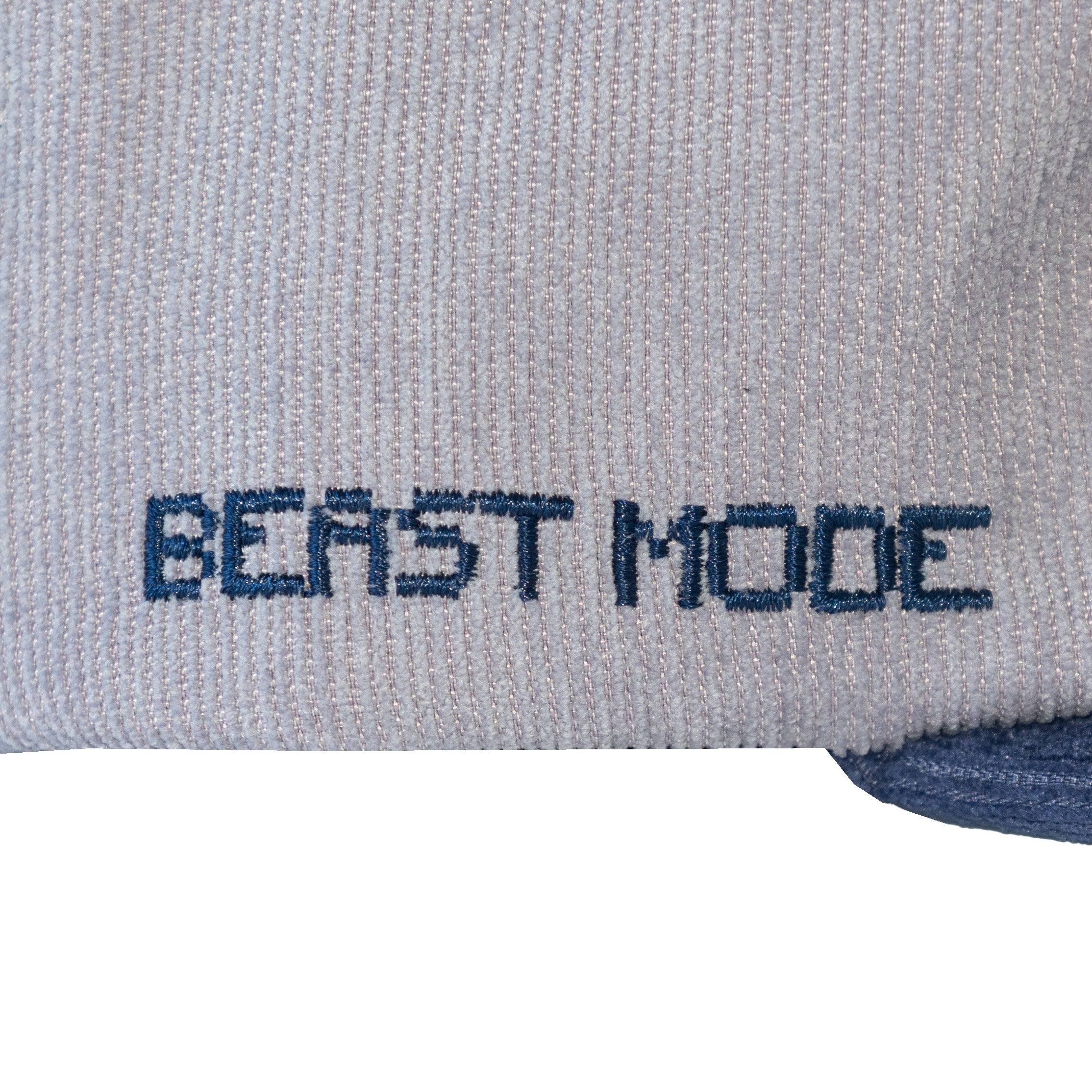 Tecmo Seattle Beast Mode 8 Bit - Hat