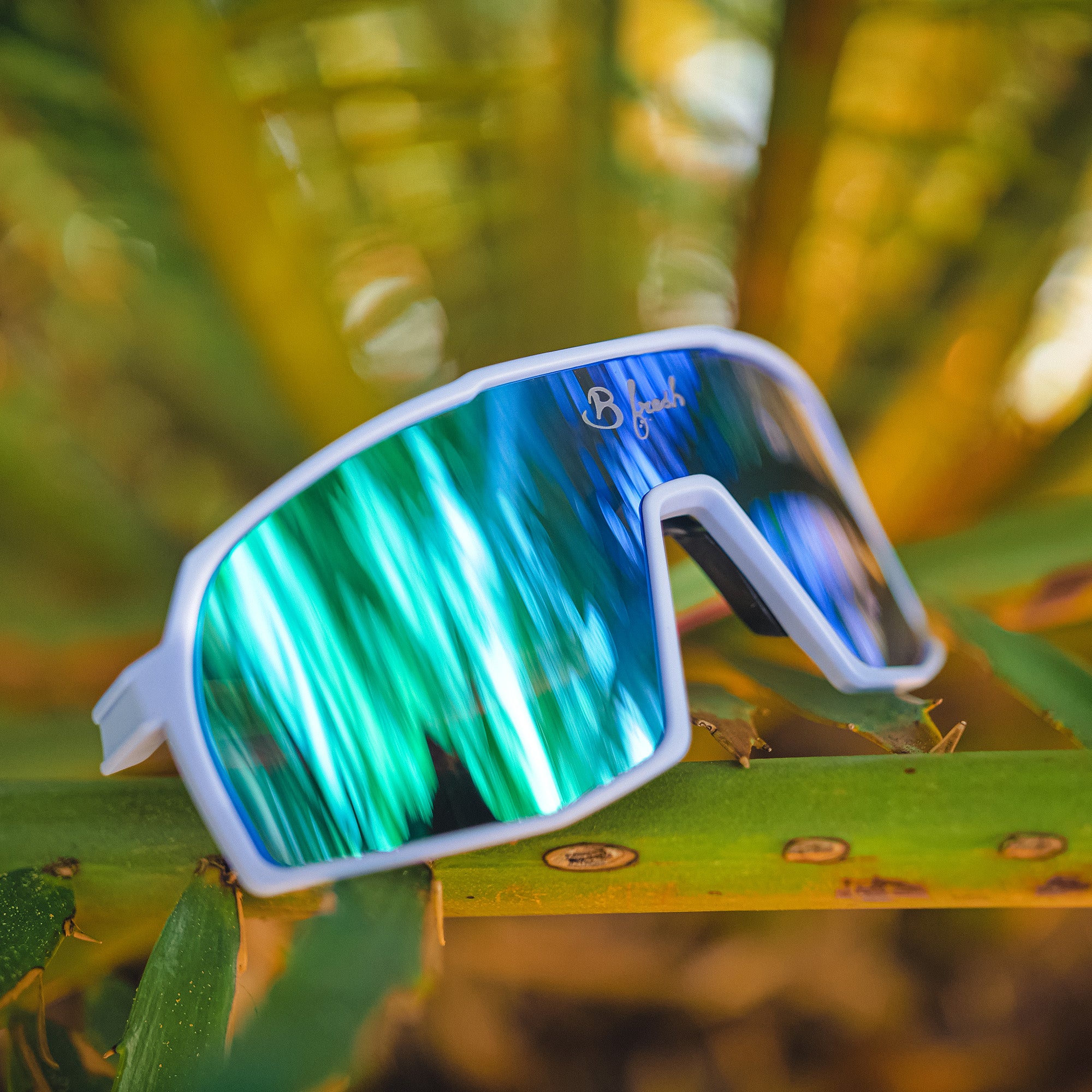 Wave Blockers Wave Gang - Sun Blockers - B Fresh Gear